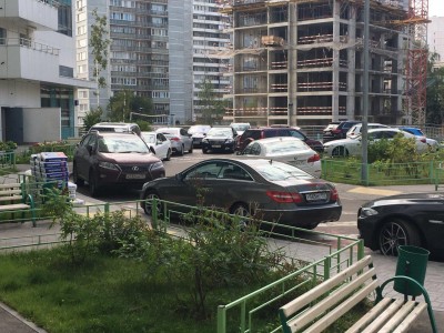 file-1.jpg