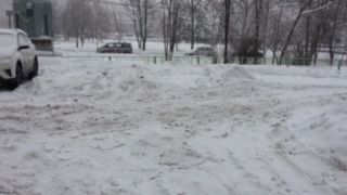 IMG_9905.JPG